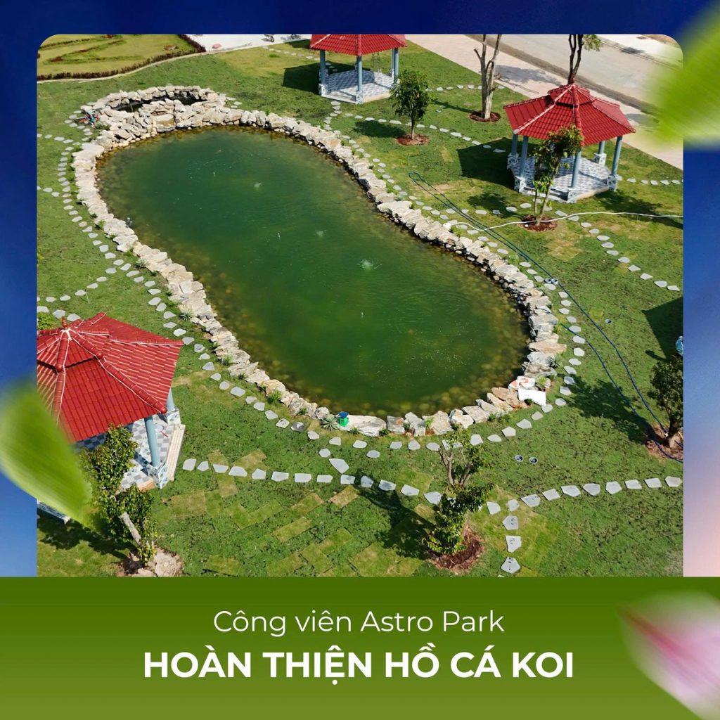 Hồ cá Koi Alana City
